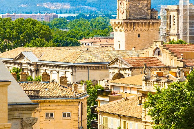 Avignon Walking Tour including Pope's Palace - Place de l’Horloge and the Center of Town’s Public Life