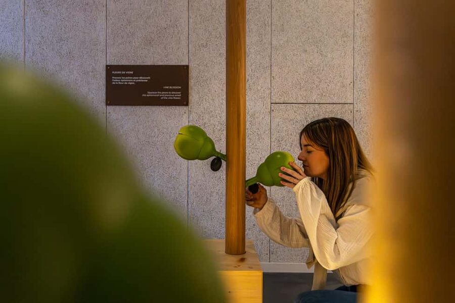 Aÿ-Champagne: Pressoria Champagne Museum with Tasting - Getting to Pressoria and planning your Champagne day
