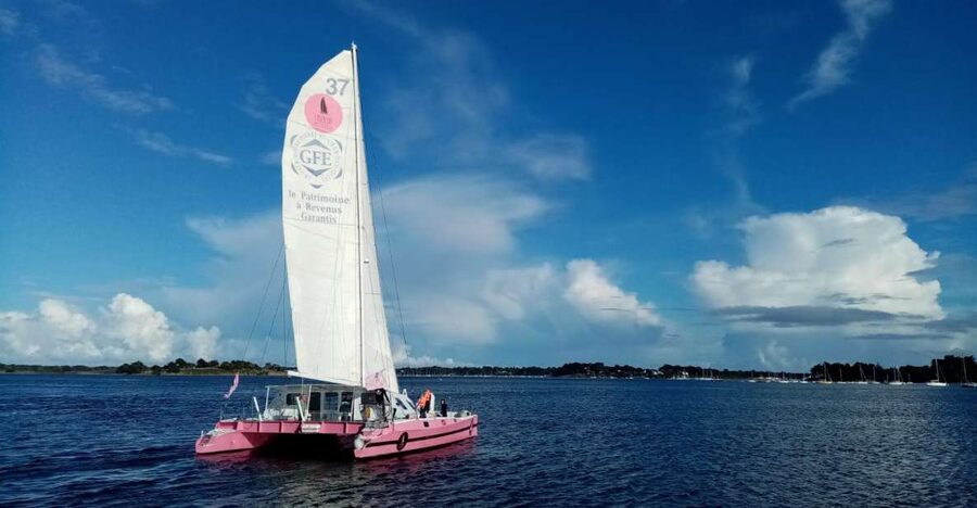 Baden: Gulf of Morbihan Exploration by Catamaran - Route highlights: Berder, Jument, Moines, Teigneuse lighthouse, and Houat views