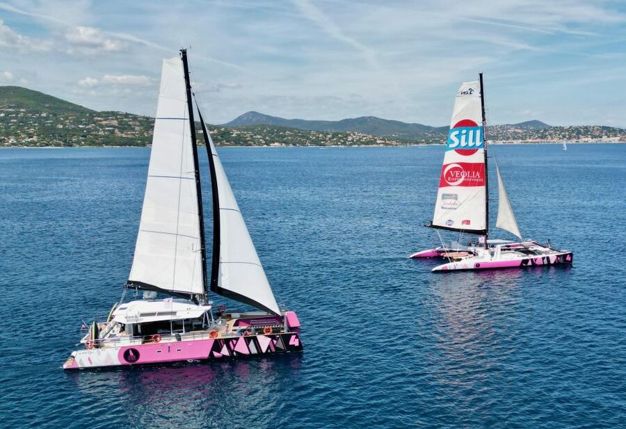 Baden: Gulf of Morbihan Exploration by Catamaran - Arradon and Arz: a second way to enjoy the gulf