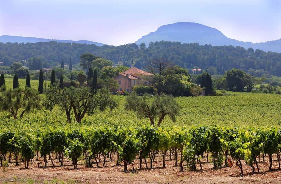Bandol and Cassis: Full Day Wine Tour from Marseille - Key things to know before you go