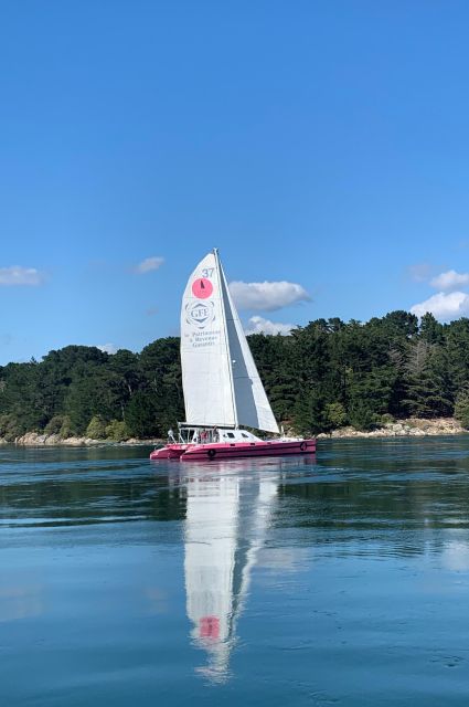 Bay of Quiberon or Morbihan gulf: Evening 2 hours navigation - Key highlights to look for