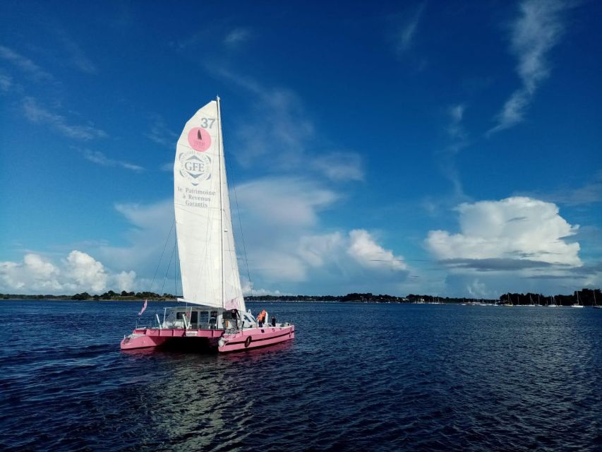 Bay of Quiberon or Morbihan gulf: Evening 2 hours navigation - What you will see: islands, color, and the Teignouse lighthouse
