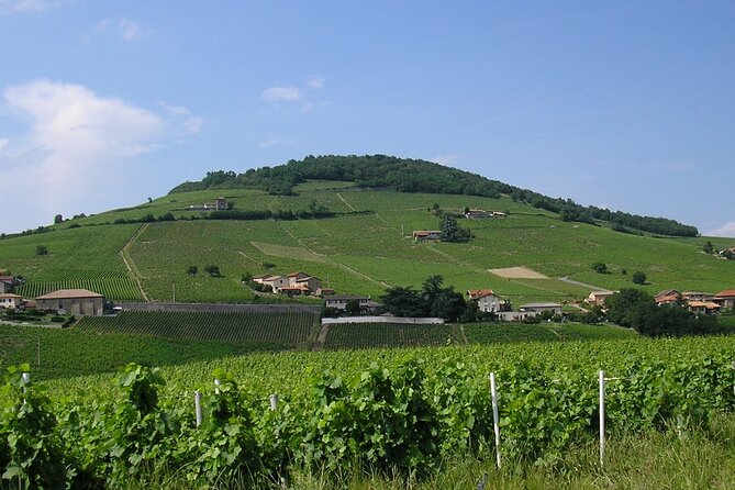 Beaujolais Half Day Wine Tasting Tour - The ride on the Beaujolais Wine Route: more than driving time