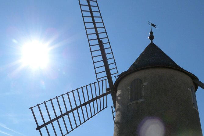 Beaujolais Half Day Wine Tasting Tour - Stop 2: a family winery where the winemaker story becomes real