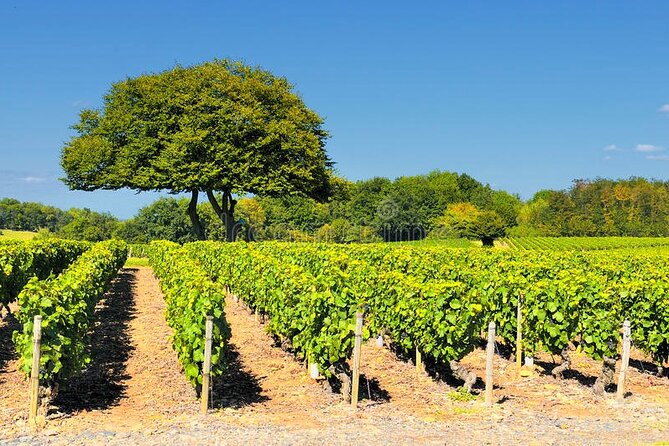 Beaujolais wine tour from Lyon half day - Why Oingt and Le Bois-d’Oingt work so well for a half-day