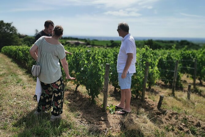 Beaujolais wine tour from Lyon half day - What you’ll learn about Beaujolais without feeling like school