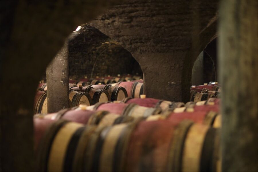 Beaune: Maison Champy Guided Cellar Tour with Wine Tasting - Burgundy basics you can taste: terroir and the logic of classifications