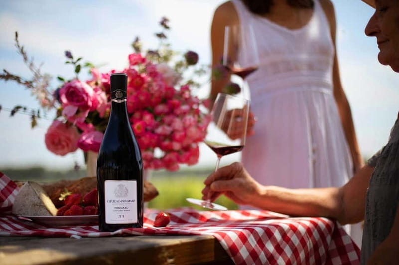 Beaune: Wine Tasting at Château de Pommard - The tasting itself: four wines, taught as a story