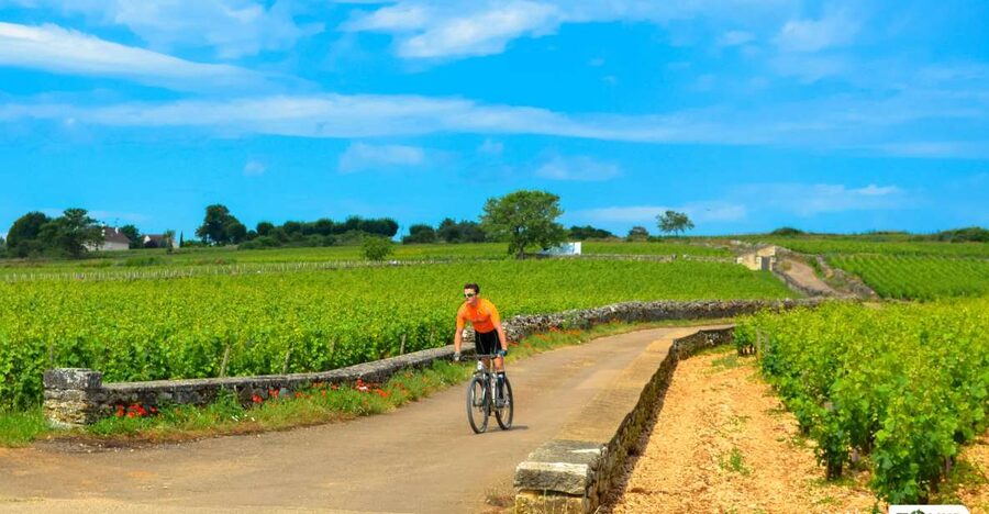 Beaune: Winery Tour by Bike with Wine Tasting - Getting There: Parc de la Bouzaize Meeting Point in Beaune