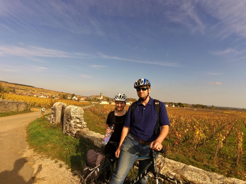 Beaune: Winery Tour by Bike with Wine Tasting - Cycling Côte de Beaune: Pommard and Volnay Vineyards at a Leisurely Pace