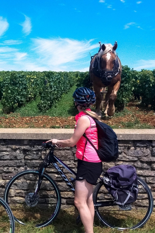 Beaune: Winery Tour by Bike with Wine Tasting - Photo Stop in Pommard: The Brief Break That Makes It Feel Real