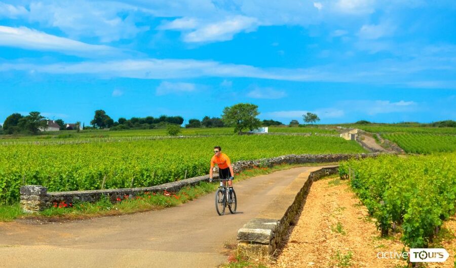 Beaune: Winery Tour by Bike with Wine Tasting - The Bike Setup and First Ride: Helmet On, Brakes Ready