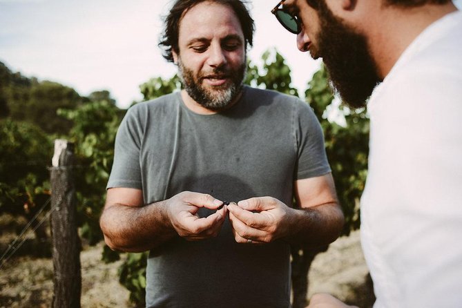 Bertrand Bosc wine and food tour in Pic St Loup - Key highlights in a sentence
