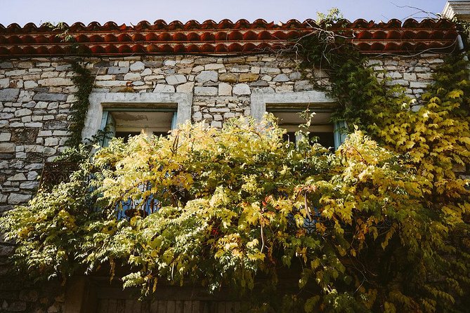 Bertrand Bosc wine and food tour in Pic St Loup - Stop 3, Maison des Consuls: a quick medieval-street reset
