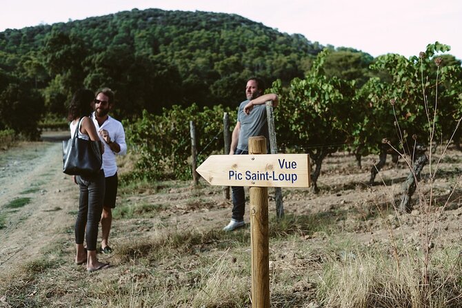 Bertrand Bosc wine and food tour in Pic St Loup - Stop 5, Valflaunes countryside road trip: the ride that ties it together