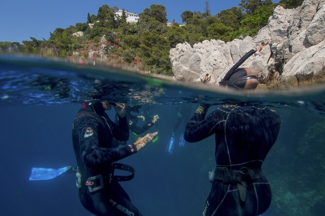 Boat trip and snorkeling in Villefranche - sur - Mer - Snorkeling off Cape Ferrat and Cape of Nice: what you’ll actually see