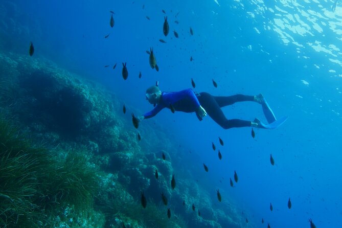 Boat trip and snorkeling in Villefranche - sur - Mer - The boat ride and briefing: how the guides keep it safe and fun