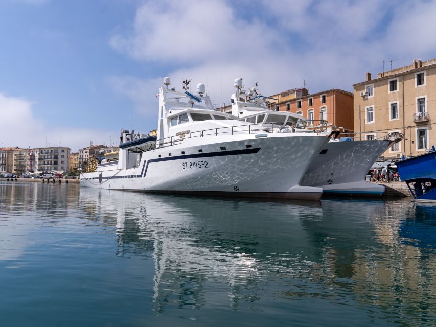 Boat walk in Sete on the singular island 1 hour - Key highlights worth your attention