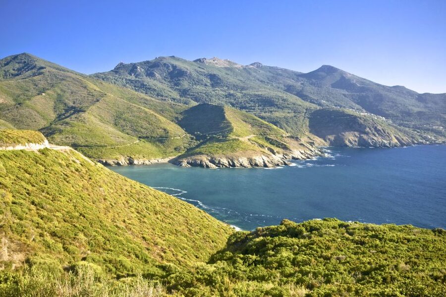 Bonifacio by Sea: Unmissable Escape from Ajaccio/Porticcio - Roccapina’s Lion Rock: The Stop That Makes the Day Feel Worth It