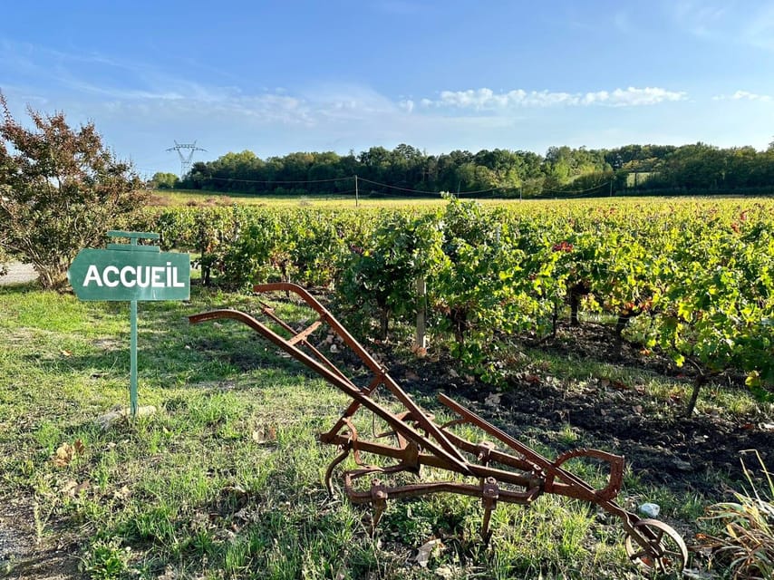 Bordeaux: Explore an Organic Family Vineyard with Tasting - How to get the most from your 90 minutes