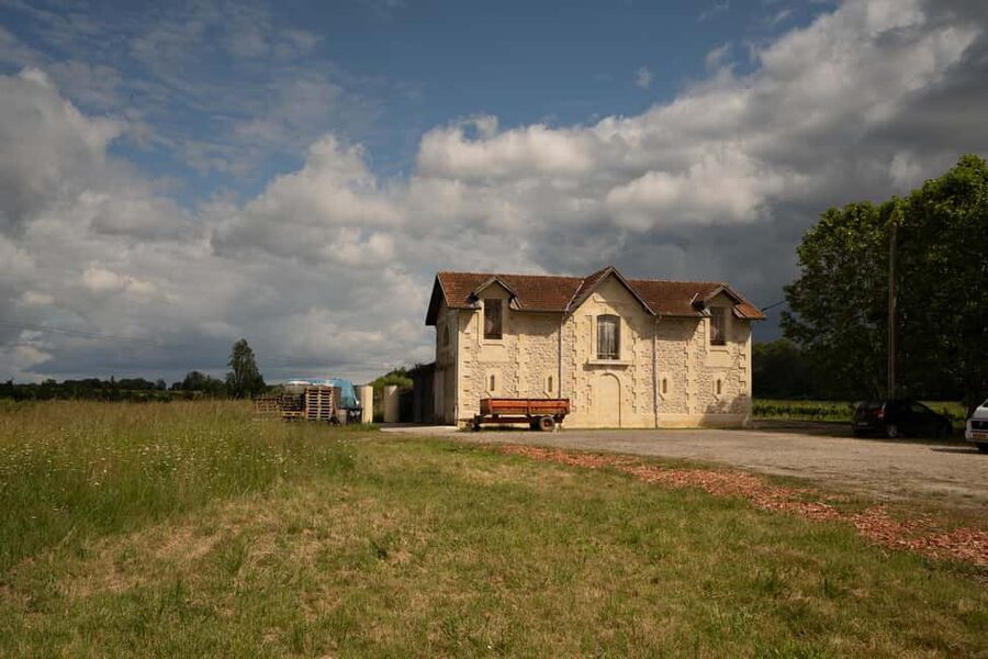 Bordeaux: Explore an Organic Family Vineyard with Tasting - Should you book Pestoury Vineyard?