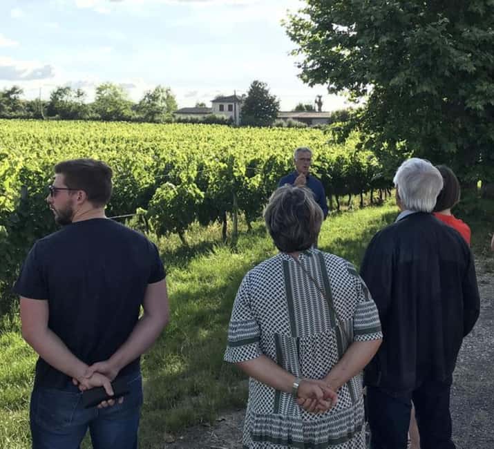 Bordeaux: Explore an Organic Family Vineyard with Tasting - Getting your bearings with a Bordeaux map of 65 appellations