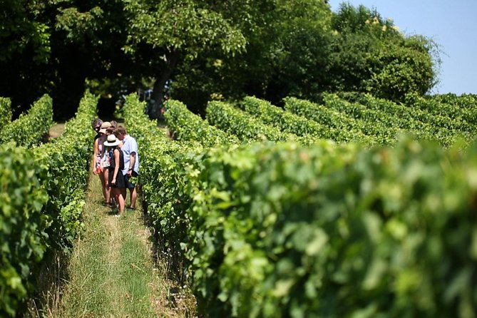 Bordeaux Full day Medoc and St Emilion 3 chateaux with Lunch - Morning Logistics: 9:00am Start in Bordeaux, Then Off to the Vines