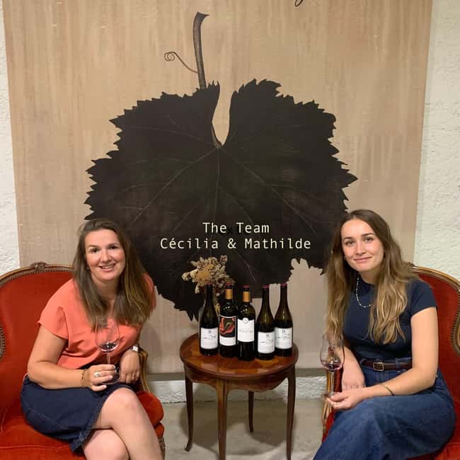 Bordeaux: Guided Bordeaux Wine Tasting Class with 6 Wines - The food and wine pairing experiment that makes it real
