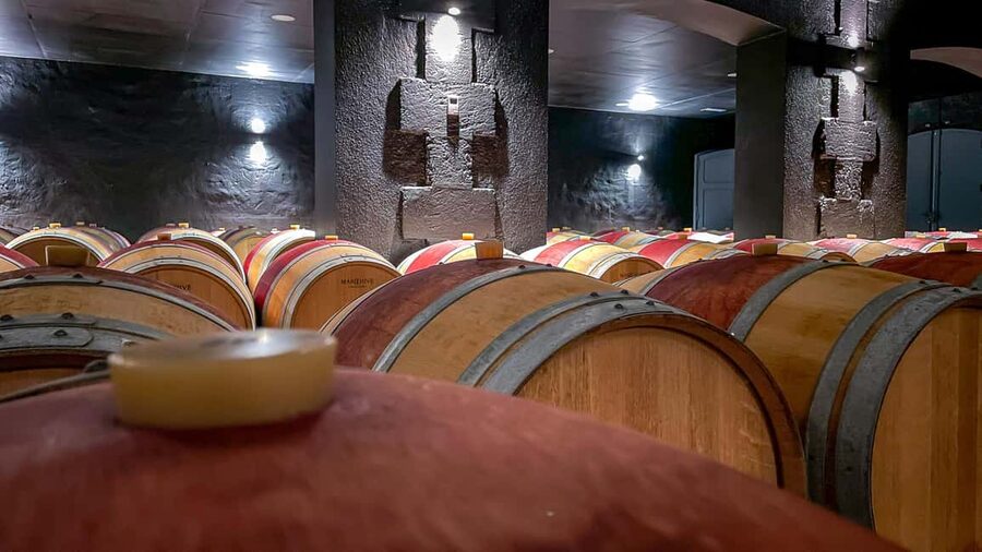 Bordeaux: Saint-Emilion and Medoc Full-Day Wine Experience - Saint-Émilion UNESCO village: the best warm-up before you taste