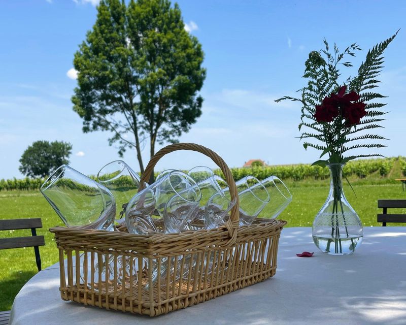 Bordeaux: Saint-Emilion Village Day Trip, 2 Chateaux & Lunch - From Bordeaux to the vineyards: the comfortable 6-hour rhythm