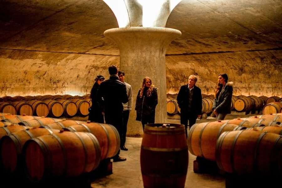 Bordeaux: St-Emilion and Medoc Wine Day Tour with Lunch - Key Highlights You Should Actually Care About