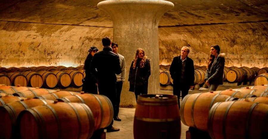 Bordeaux: St-Emilion and Medoc Wine Day Tour with Lunch - Saint-Émilion UNESCO Village Walk, and Why Vineyards Shaped the Streets