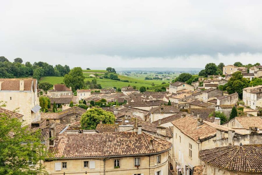 Bordeaux: St. Emilion Day Trip with Wine Tasting and Lunch - Château Stop 1: the guided visit, then the first tasting