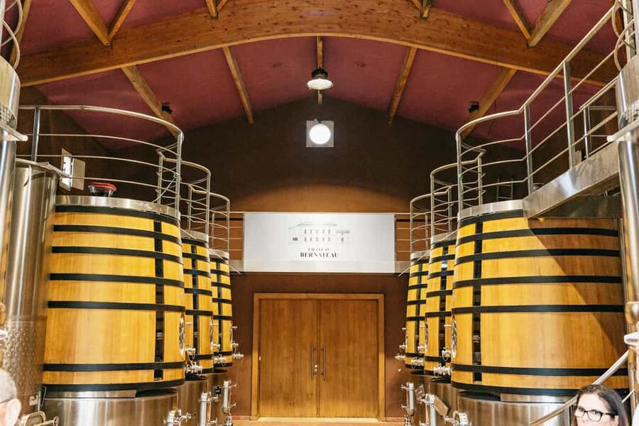 Bordeaux: St. Emilion Day Trip with Wine Tasting and Lunch - Château Stop 2: comparing styles without feeling rushed
