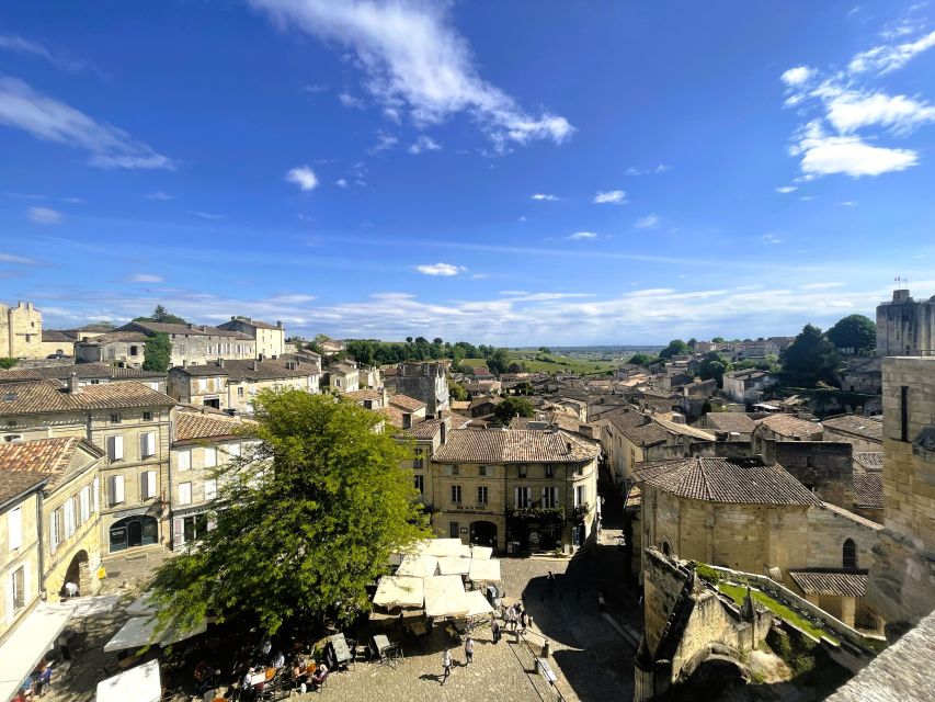 Bordeaux: St-Emilion Vineyards e-Bike Tour with Wine & Lunch - Key highlights that make this tour worth your time