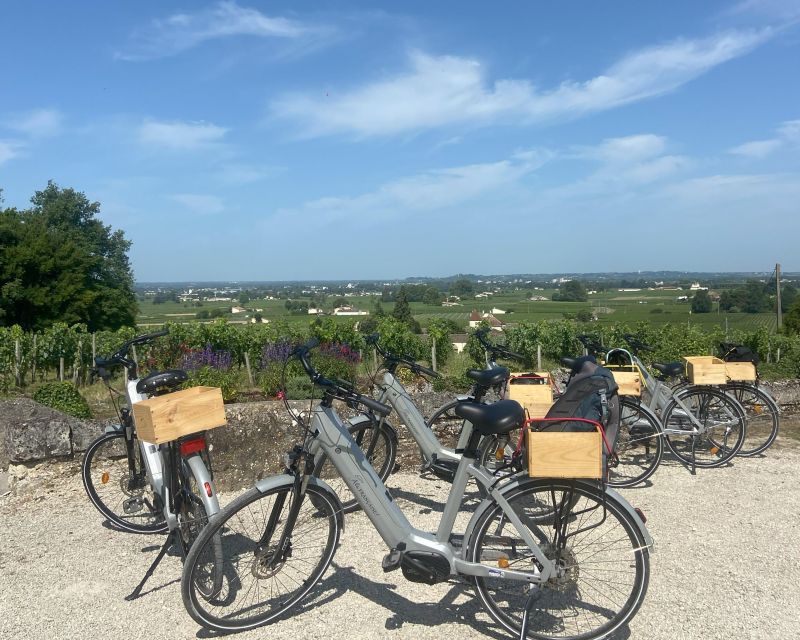 Bordeaux: St-Emilion Vineyards e-Bike Tour with Wine & Lunch - Winery visit #2: the vine-to-bottle story that turns tasting into learning