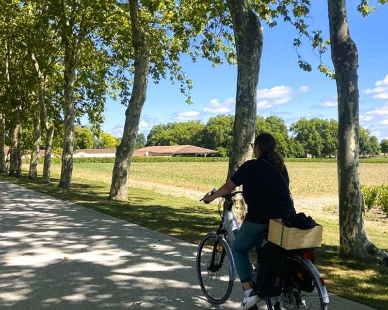 Bordeaux: St-Emilion Vineyards e-Bike Tour with Wine & Lunch - The wine program: 5 to 6 tastings and how to get more out of them