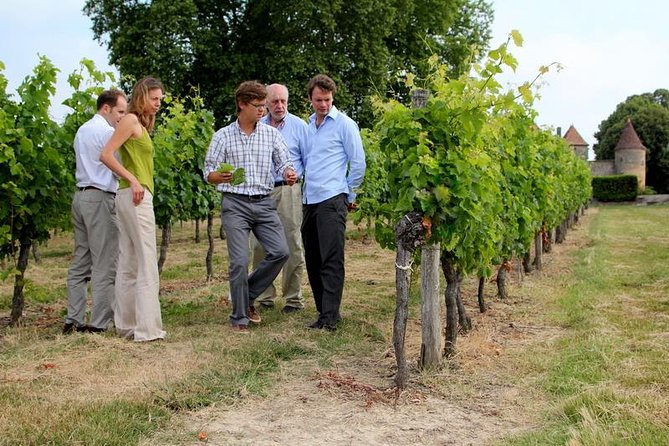 Bordeaux Super Saver Wine Tasting class and St Emilion region - How the guide experience shapes the whole day