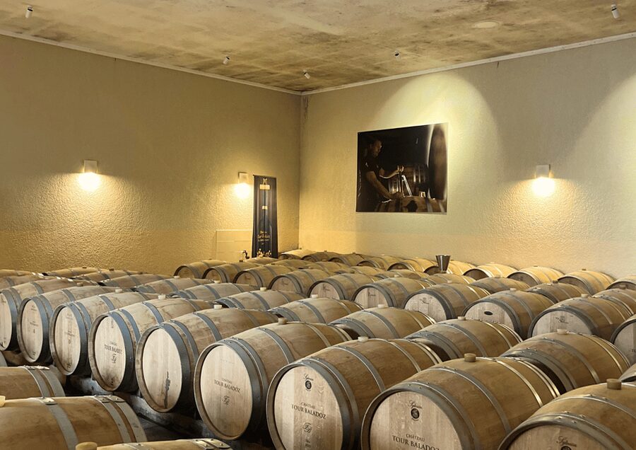 Bordeaux : Unforgettable Saint Emilion Half Day Wine Tour - Getting to Saint-Émilion from Bordeaux, in comfort