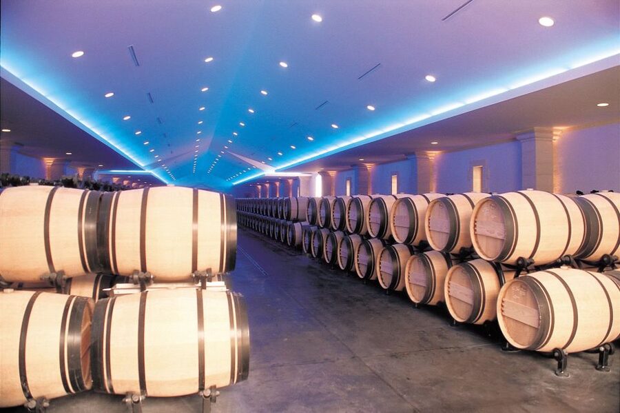 Bordeaux: Vineyards Wine Tasting Half-Day Trip - Château visits in the Médoc, Graves and Sauternais, and Entre-deux-Mers