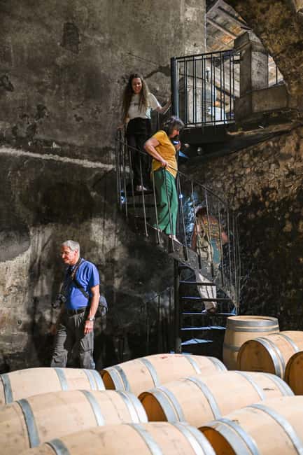 Bordeaux: Vineyards Wine Tasting Half-Day Trip - Wine tasting reality check: portion size, what you actually learn, and what to do with it