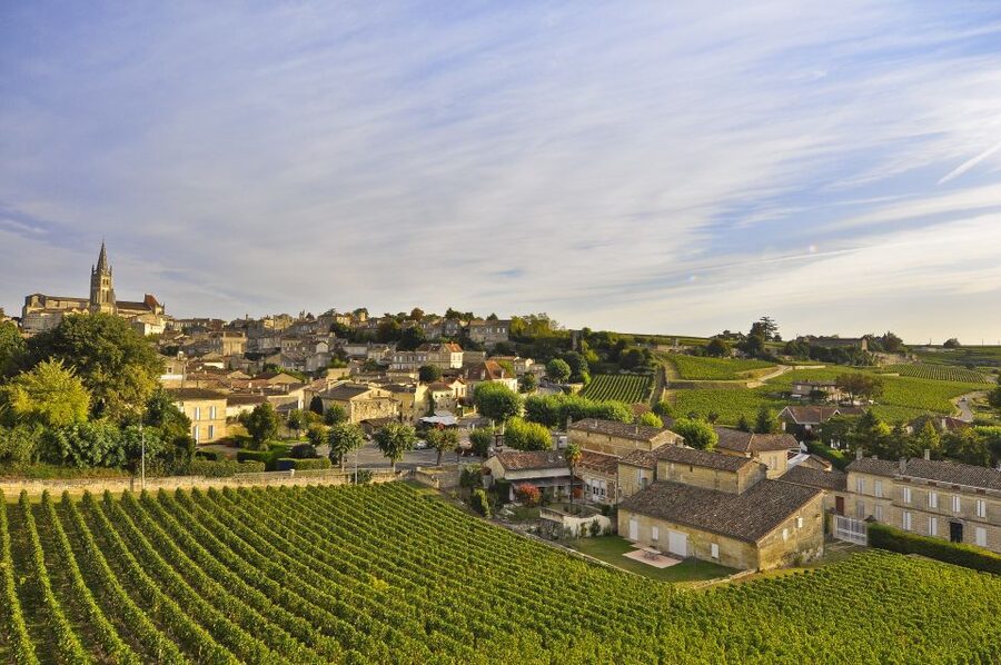 Bordeaux: Vineyards Wine Tasting Half-Day Trip - Should you book this Bordeaux vineyards wine tasting half-day trip?