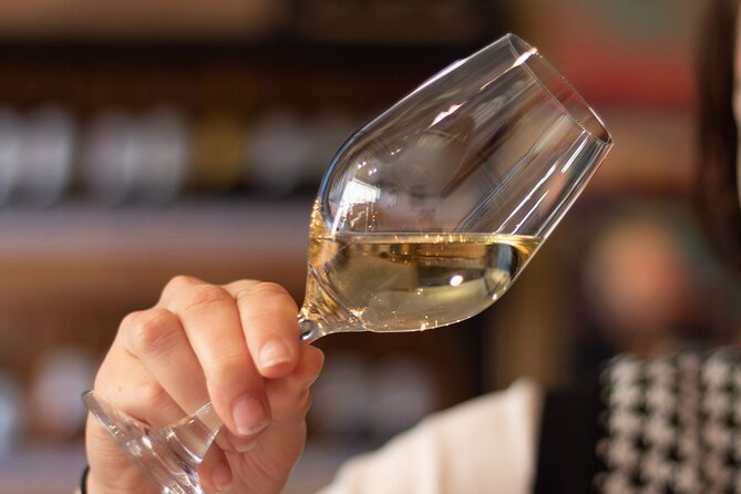 Bordeaux Wines Masterclass paired with cheeses & charcuterie - A wine bar classroom near the Grand Theatre