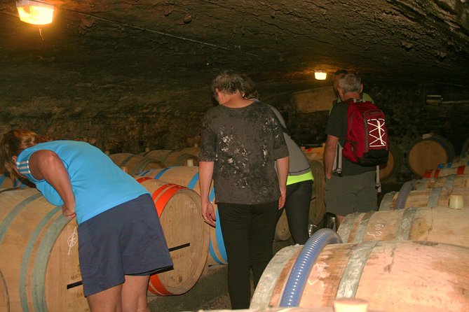 Burgundy Bike Tour with Wine Tasting from Beaune - Key Things I Think You’ll Care About Most