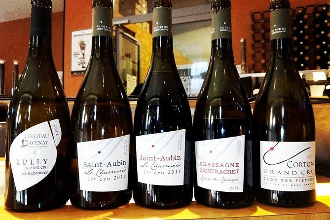 Burgundy Bike Tour with Wine Tasting from Beaune - Meeting at Active Tours in Beaune, then Launching from the Hilltop