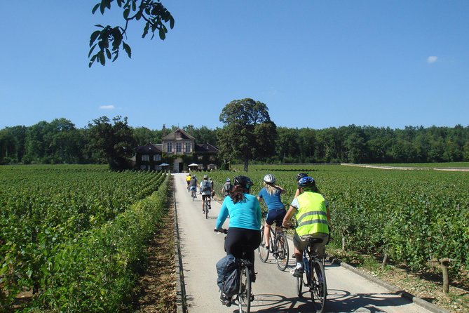 Burgundy Bike Tour with Wine Tasting from Beaune - Puligny-Montrachet Lunch Stop, with Time to Breathe Before the Afternoon