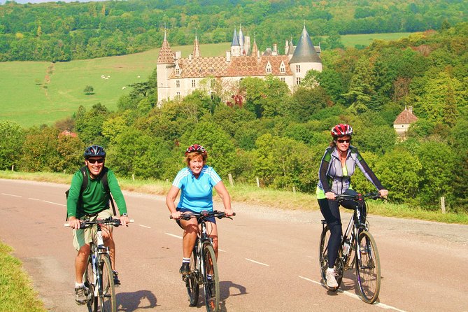 Burgundy Bike Tour with Wine Tasting from Beaune - The Pommard, Volnay, Meursault Wine Tasting Stop