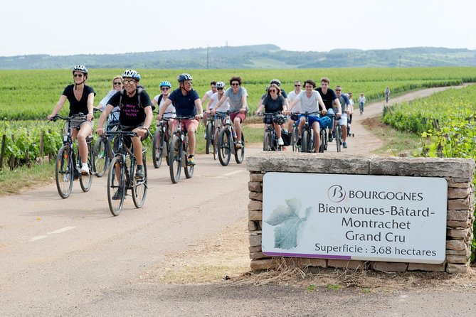 Burgundy Bike Tour with Wine Tasting from Beaune - E-Bikes, Hills, and Heat: How to Choose Without Regretting It