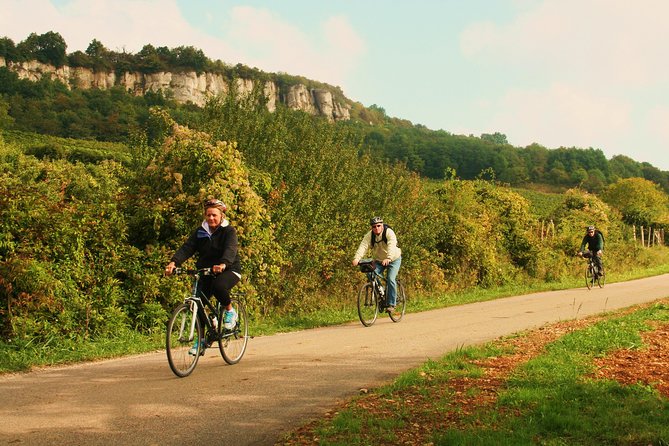 Burgundy Bike Tour with Wine Tasting from Beaune - Chateau de La Rochepot Pass-By, a Quick Photo Moment That Sets the Mood